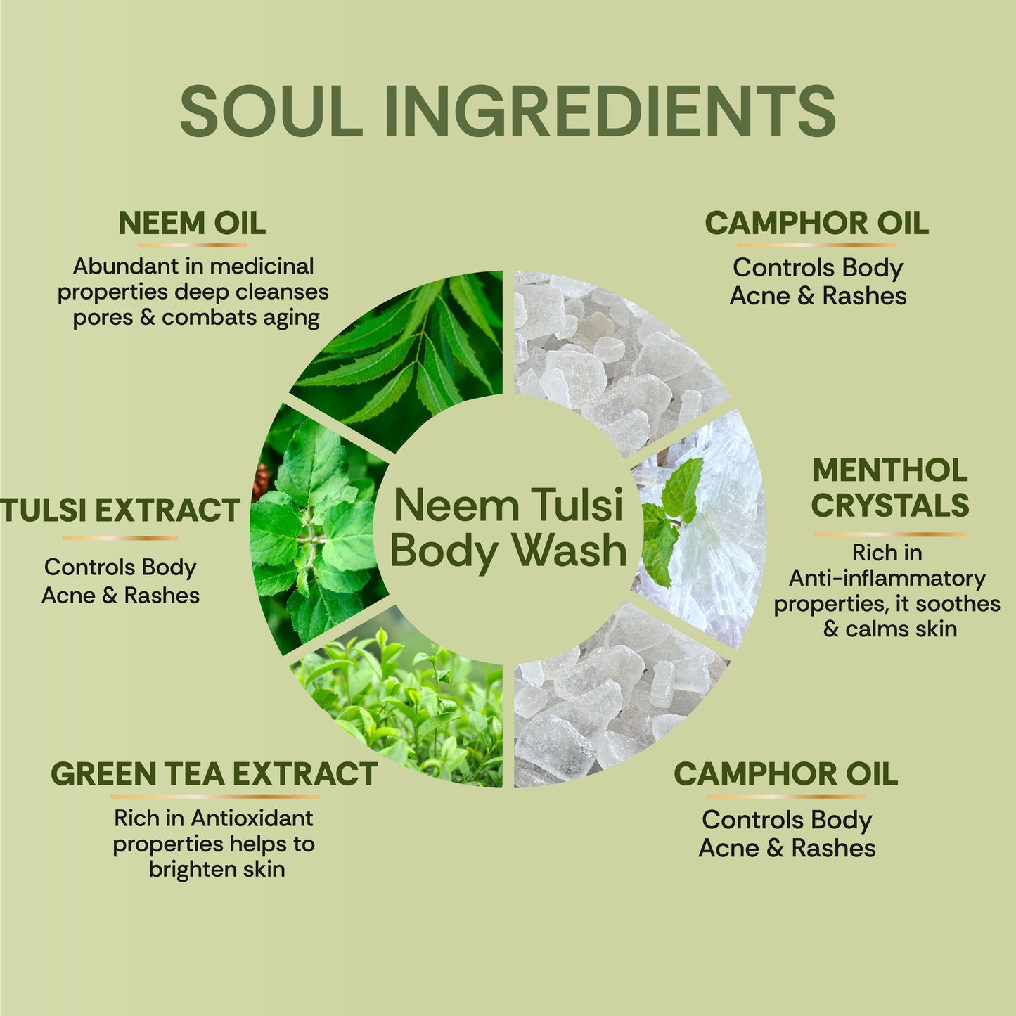 Vedic Valley Snanam Neem Tulsi Body Wash