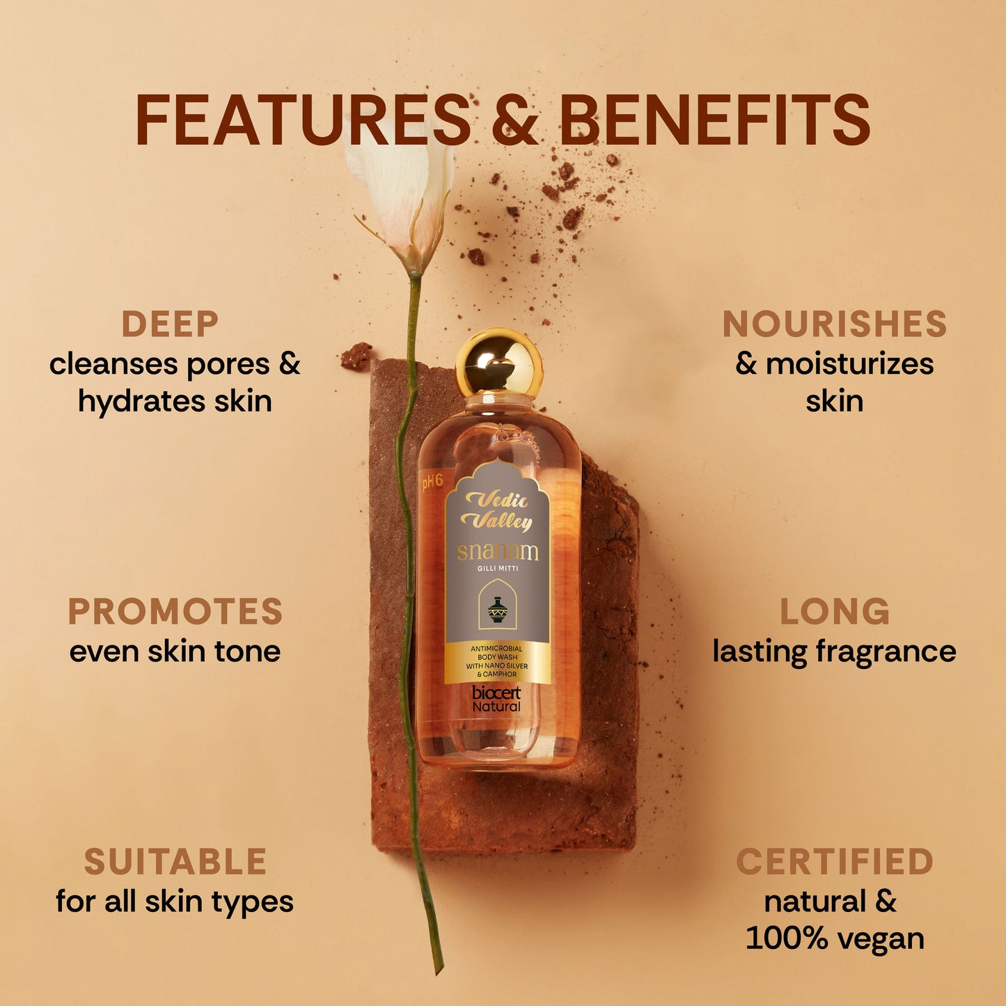 Vedic Valley Snanam Gilli Mitti Body Wash