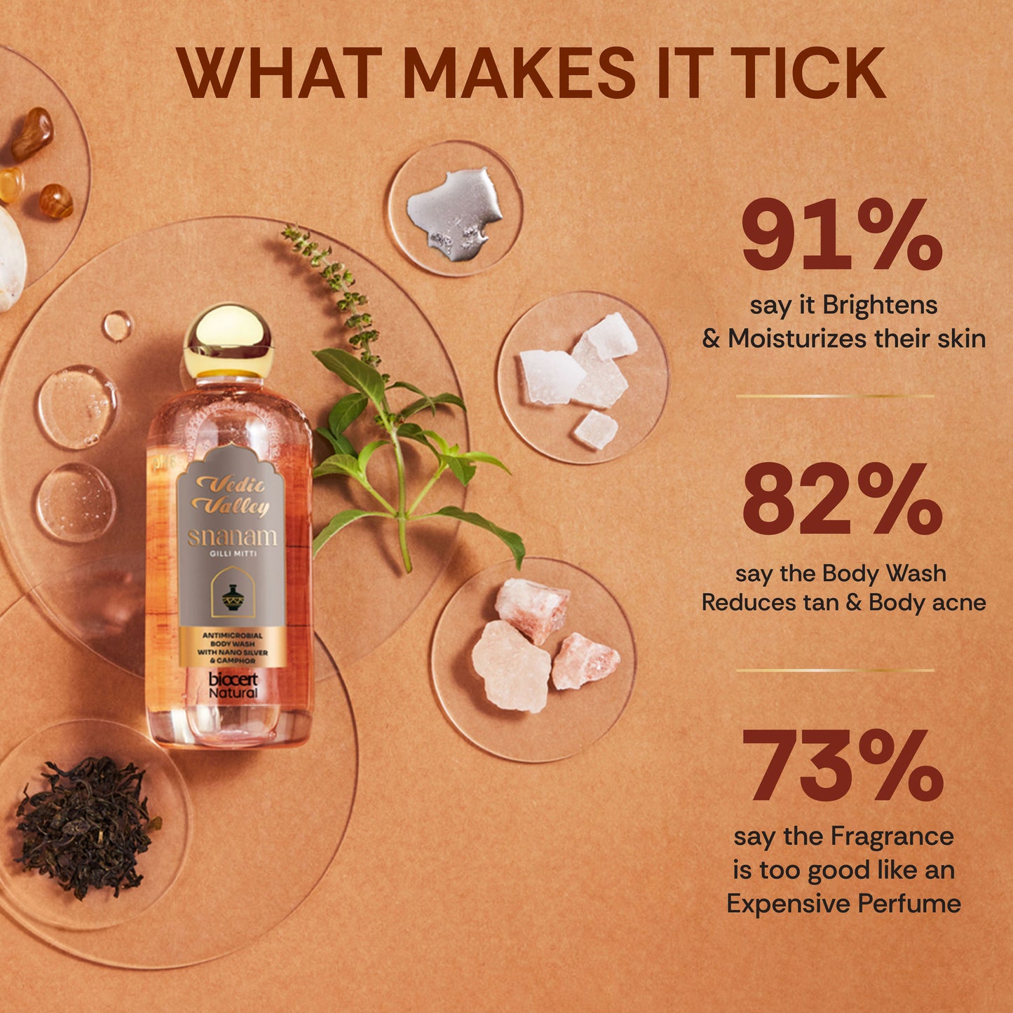 Vedic Valley Snanam Gilli Mitti Body Wash