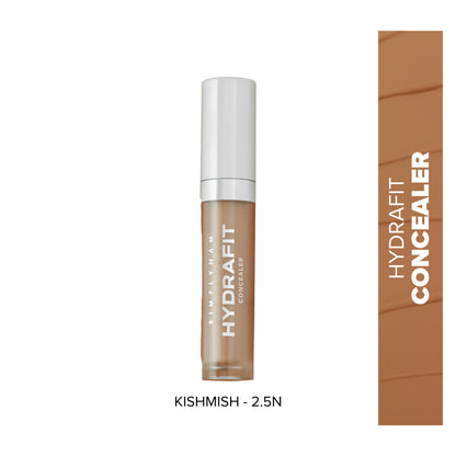 Simply Nam Hydrafit Liquid Concealer - Kishmish 2.5N