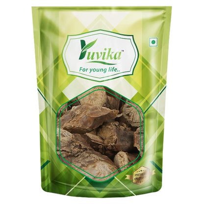 Yuvika Giloy Sabut (Guduchi) Tinospora Cordifolia Ayurvedic herb in a natural state, used for traditional health remedies.