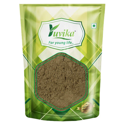 Yuvika Brahmi Booti Powder with Bacopa Monnieri and Centella Asiatica, Ayurvedic herbal supplement in a jar.