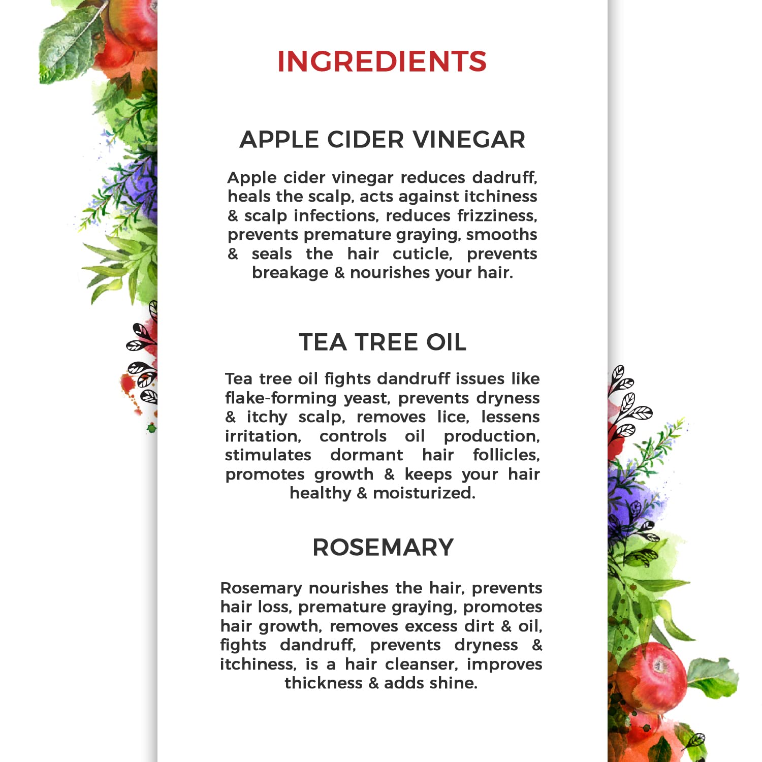 The Organic Forest Apple Cider Vinegar, Tea Tree & Rosemary Shampoo - Indyancart