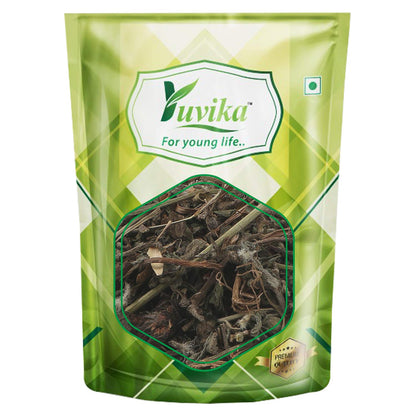 Yuvika Bhringraj Leaves, Ayurvedic Bhangra Eclipta Alba in a clear container, used for herbal hair and health remedies