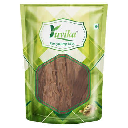 Yuvika Vijaysar - Pterocarpus Marsupium - Indian Kino