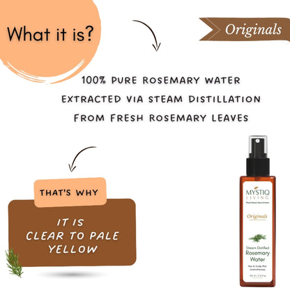 Mystiq Living Rosemary Water Hair Spray, Promotes Hair Growth, Anti Frizz & Damage Control