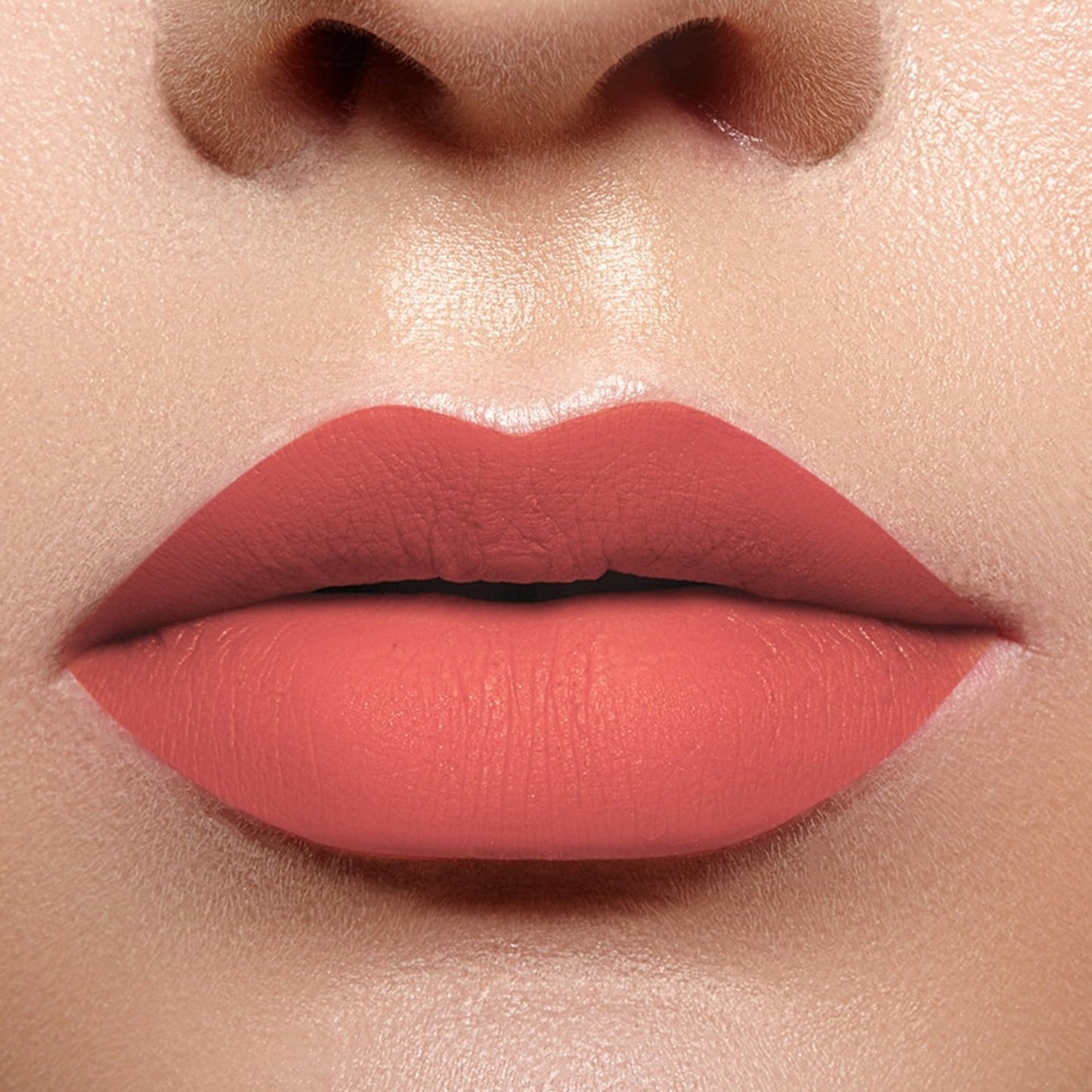 Character Read My Lips Matte Liquid Lipstick - Rose Bird 009