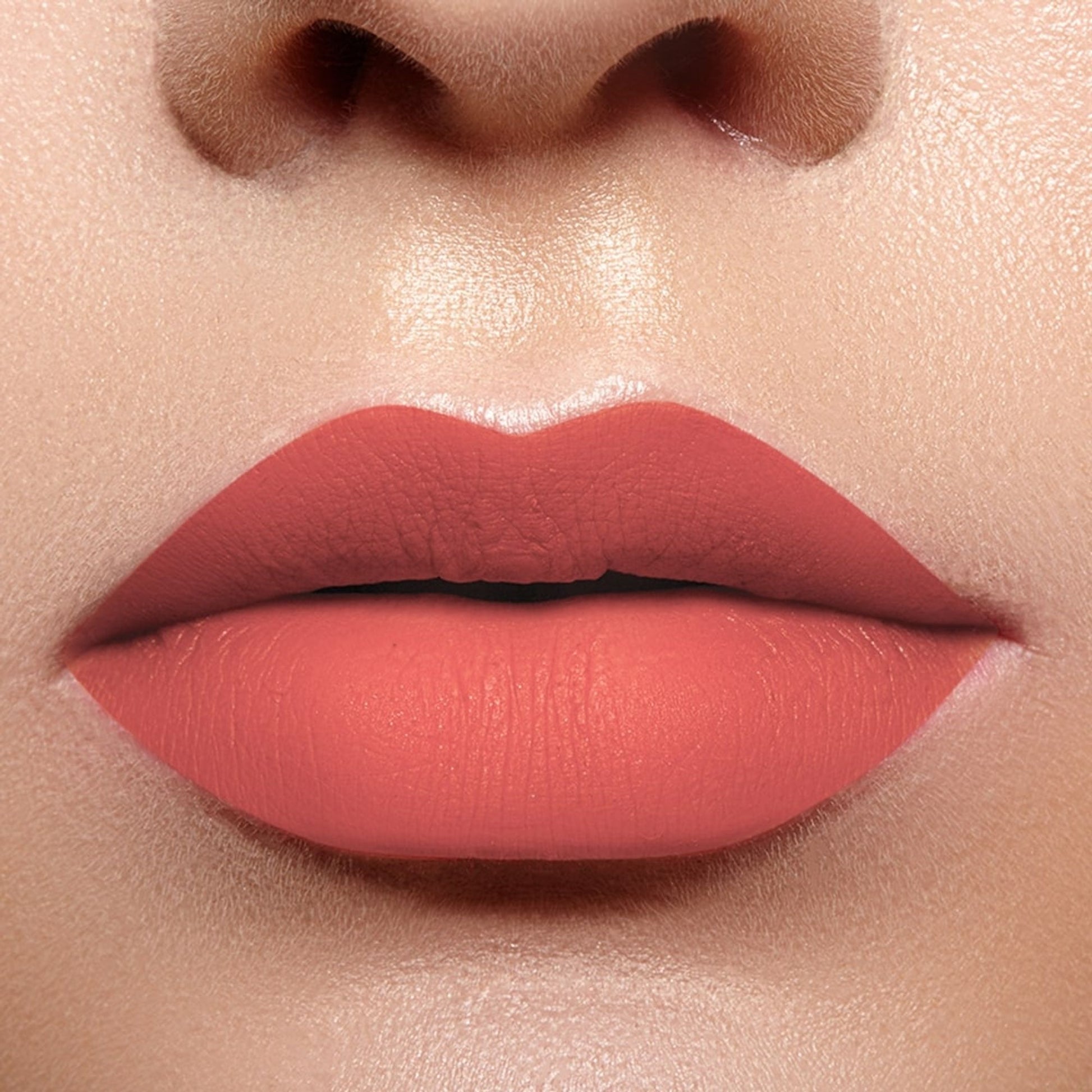 Character Read My Lips Matte Liquid Lipstick - Rose Bird 009
