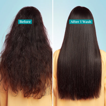 Pilgrim Keratin & Amazonian Patua 10X Smoothening Soften Shampoo For Dry & Frizzy Hair Paraben Free