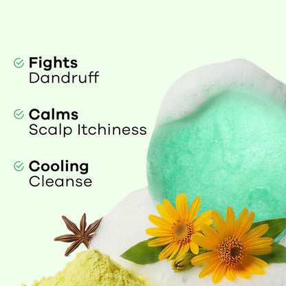 Earth Rhythm Shampoo Bar, Cardboard Box - Collodial Sulphur N Shikimic Acid