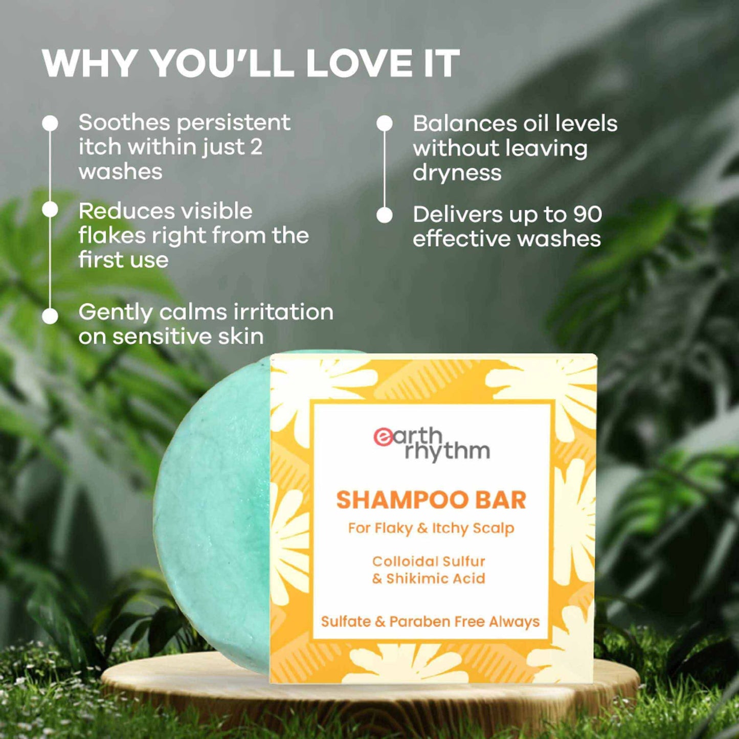 Earth Rhythm Shampoo Bar, Cardboard Box - Collodial Sulphur N Shikimic Acid