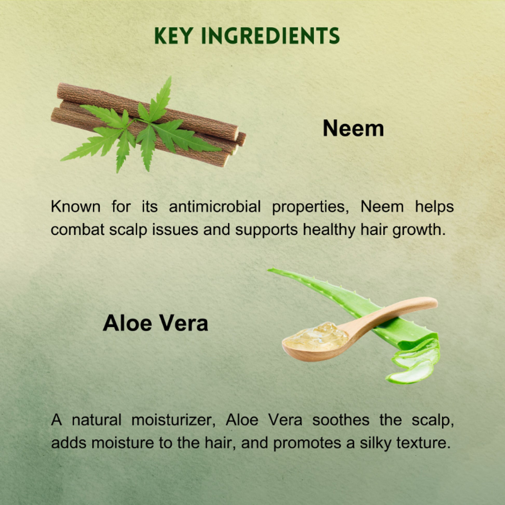Vagad's Herbal Neem & Aloevera Shampoo with Amla, Tulsi - Anti Dandruff Shampoo