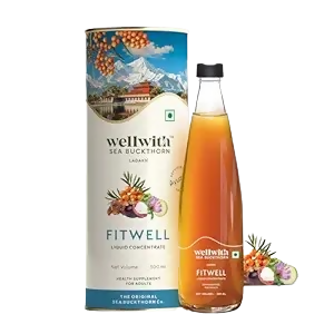 Wellwith Fitwell Juice Himalayan Sea Buckthorn + Garcinia, Kokum & Punarnava
