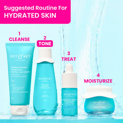 Dot & Key Blueberry Hydrate Barrier Repair Rice Water Toner