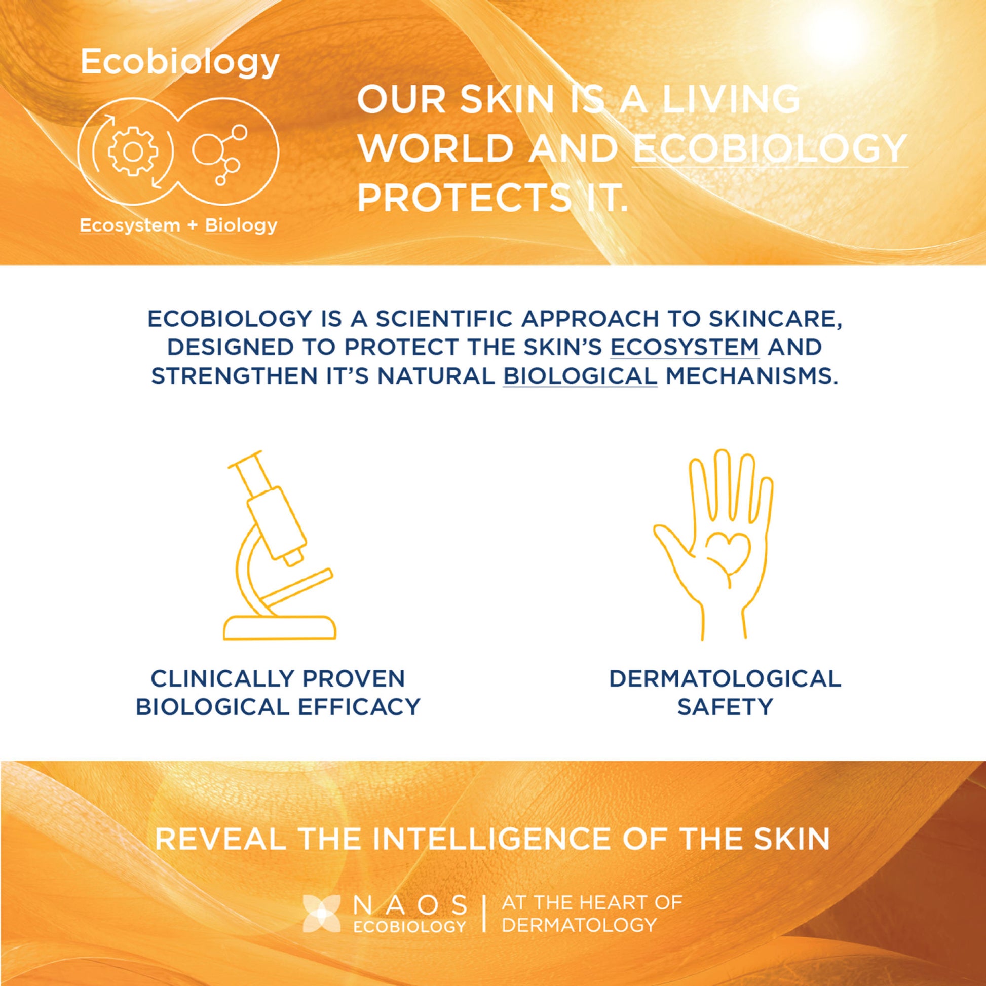 Bioderma Photoderm AKN Mat SPF 30 PA+++ Sunscreen for Oily & Acne-Prone Skin | In Vivo Tested
