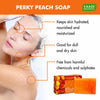 Vaadi Herbals Super Value Pack Of 6 Perky Peach Soap