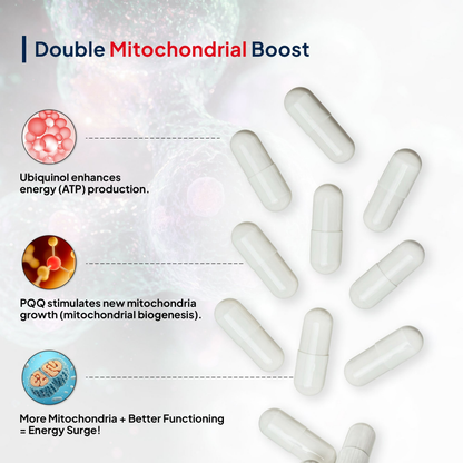 Miduty by Palak Notes Active CoQ10 + PQQ Capsules