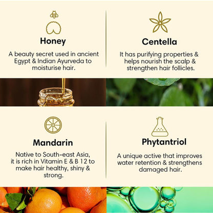 The Earth Collective Hair Cleanser For Dry & Damaged Hair