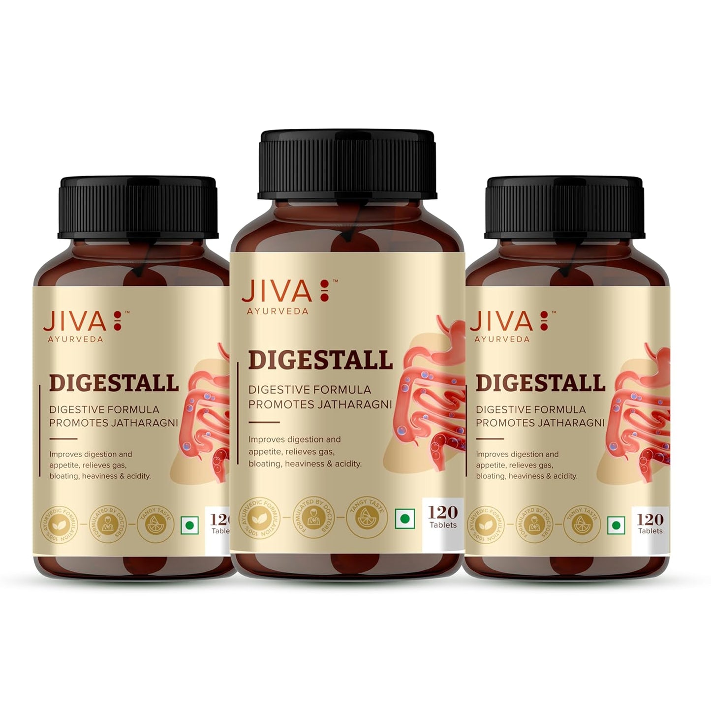 Jiva Ayurveda Digestall Tablets