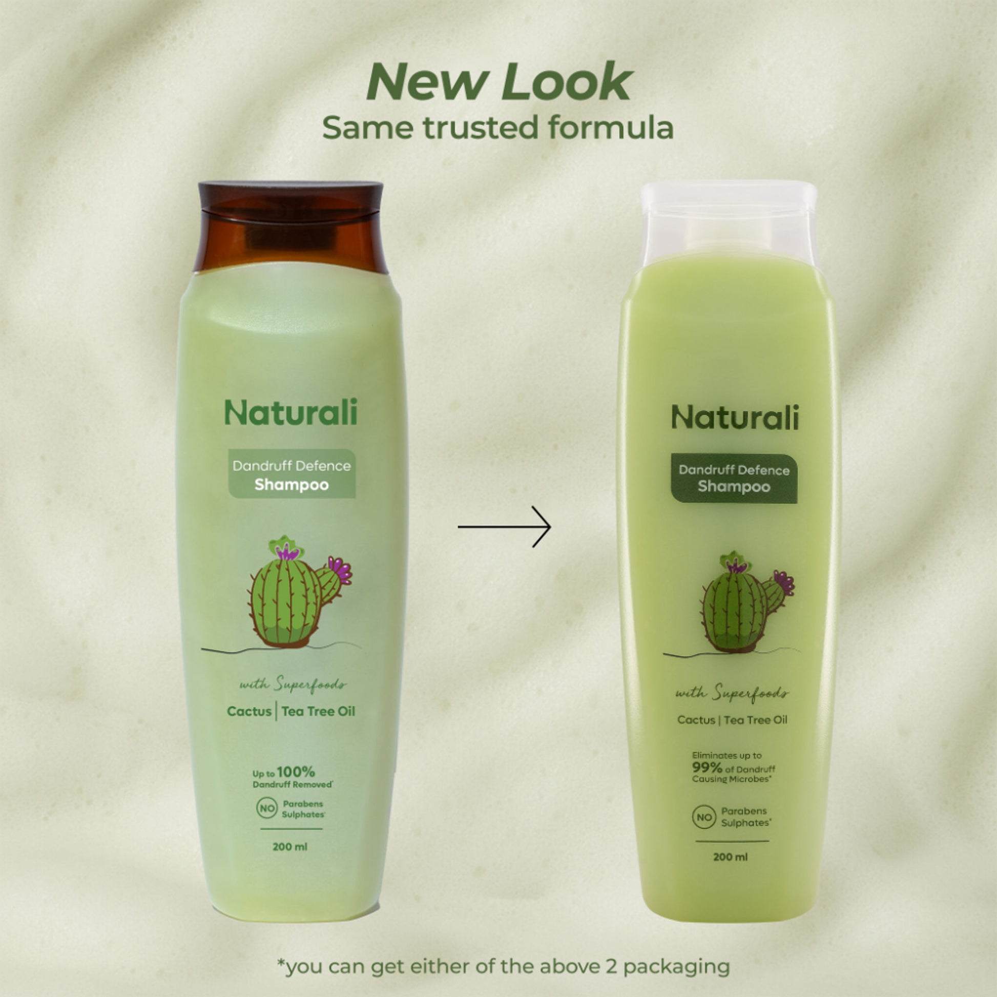 Naturali Dandruff Defence Shampoo with Tea Tree Oil & Cactus Extracts That Prevents Dandruff 370ml