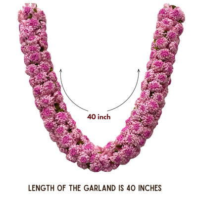 Shevanti Light Pink Flower Garland for Pooja Mandir Decoration, Hanging Mala for Photo Frame, Haar Mala for God Idols, Photo Frames of Loved Ones, Ancestors, Pitra (40 inch)