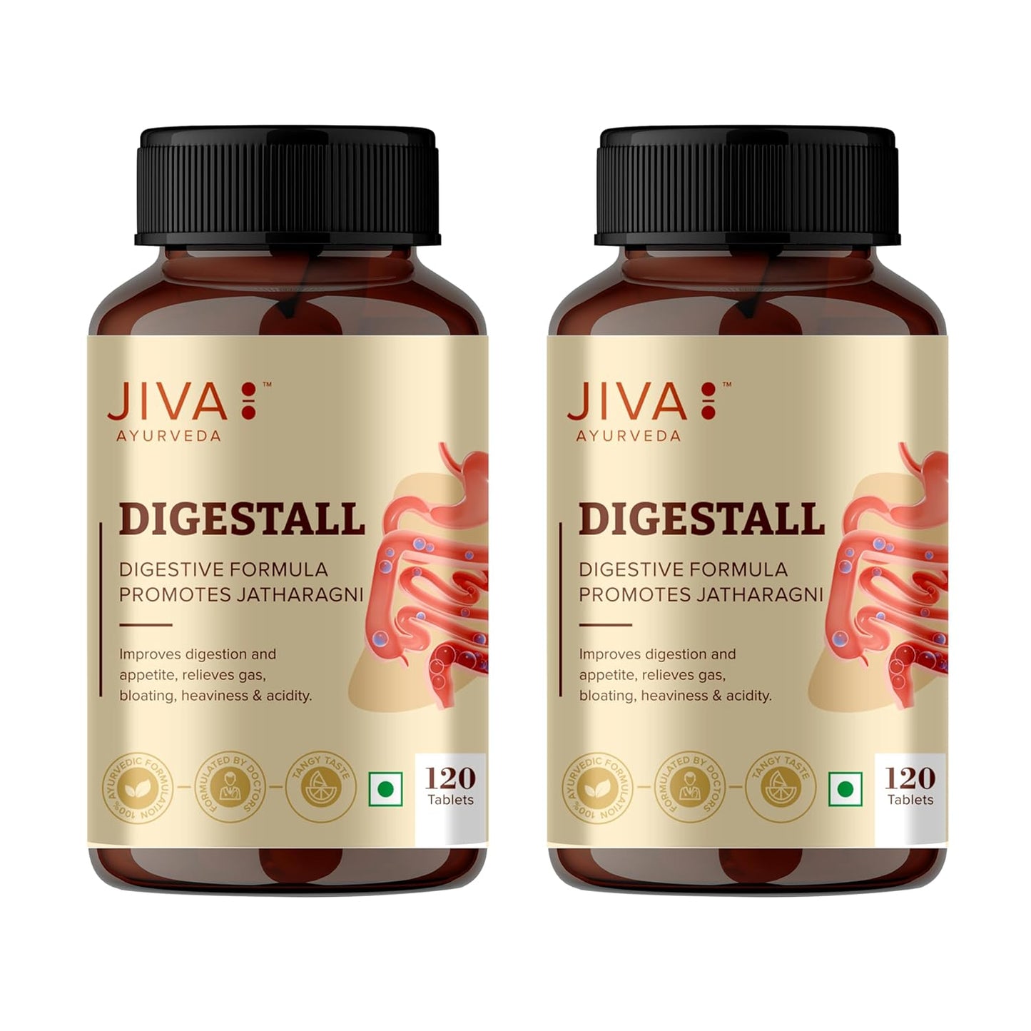 Jiva Ayurveda Digestall Tablets