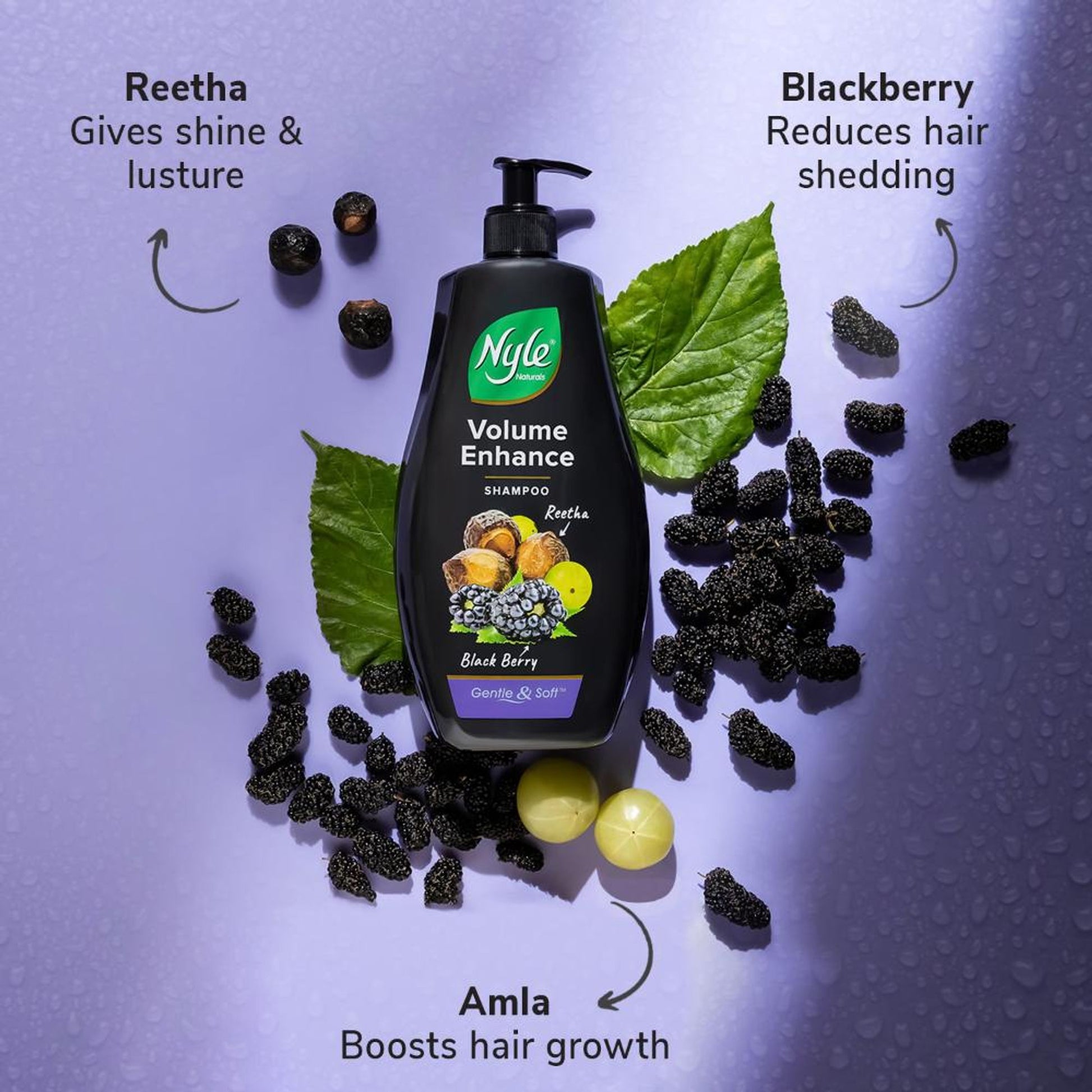 Nyle Naturals Volume Enhance Shampoo with Goodness Of Reetha & Blackberry