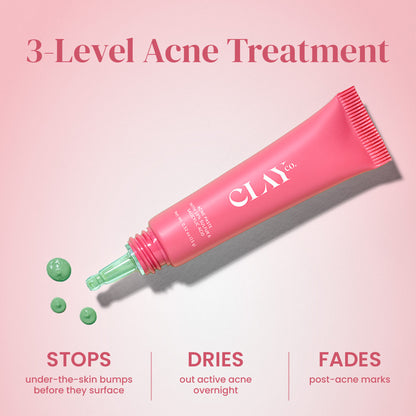 ClayCo Acne Paste With 10% Sulfur & Salicylic Acid