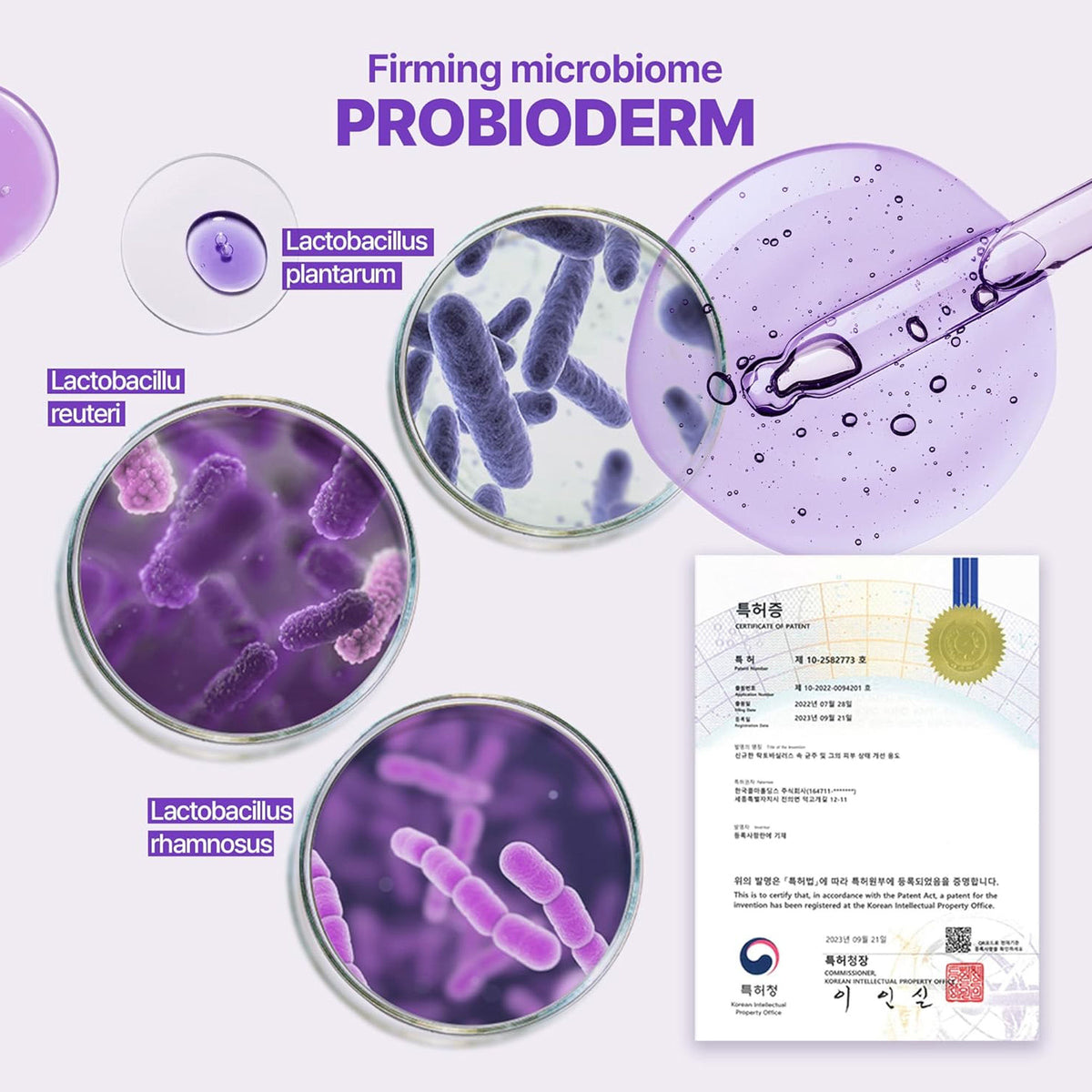 Bioheal Boh Probioderm 3D Lifting Ampoule - Firming Korean Serum Reduces Signs of Aging