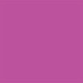 Dragonfruit and Grape - Purple