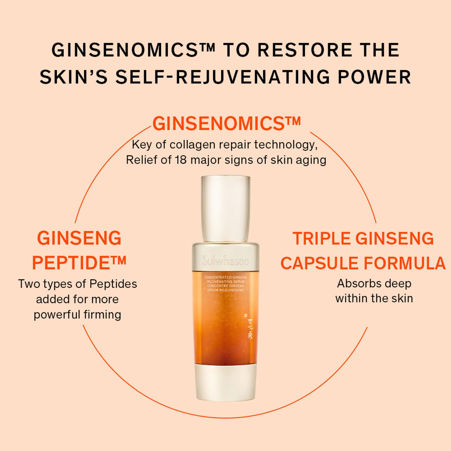 Sulwhasoo Concentrated Ginseng Renewing Serum Ex