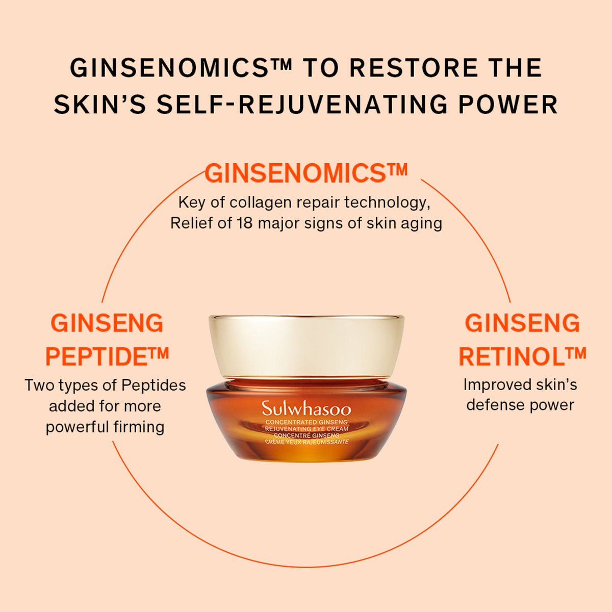 Sulwhasoo Concentrated Ginseng Rejuvenating Eye Cream