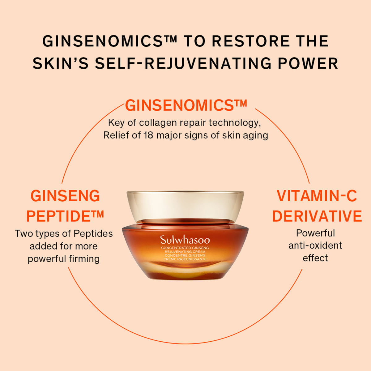 Sulwhasoo Concentrated Ginseng Renewing Cream Ex