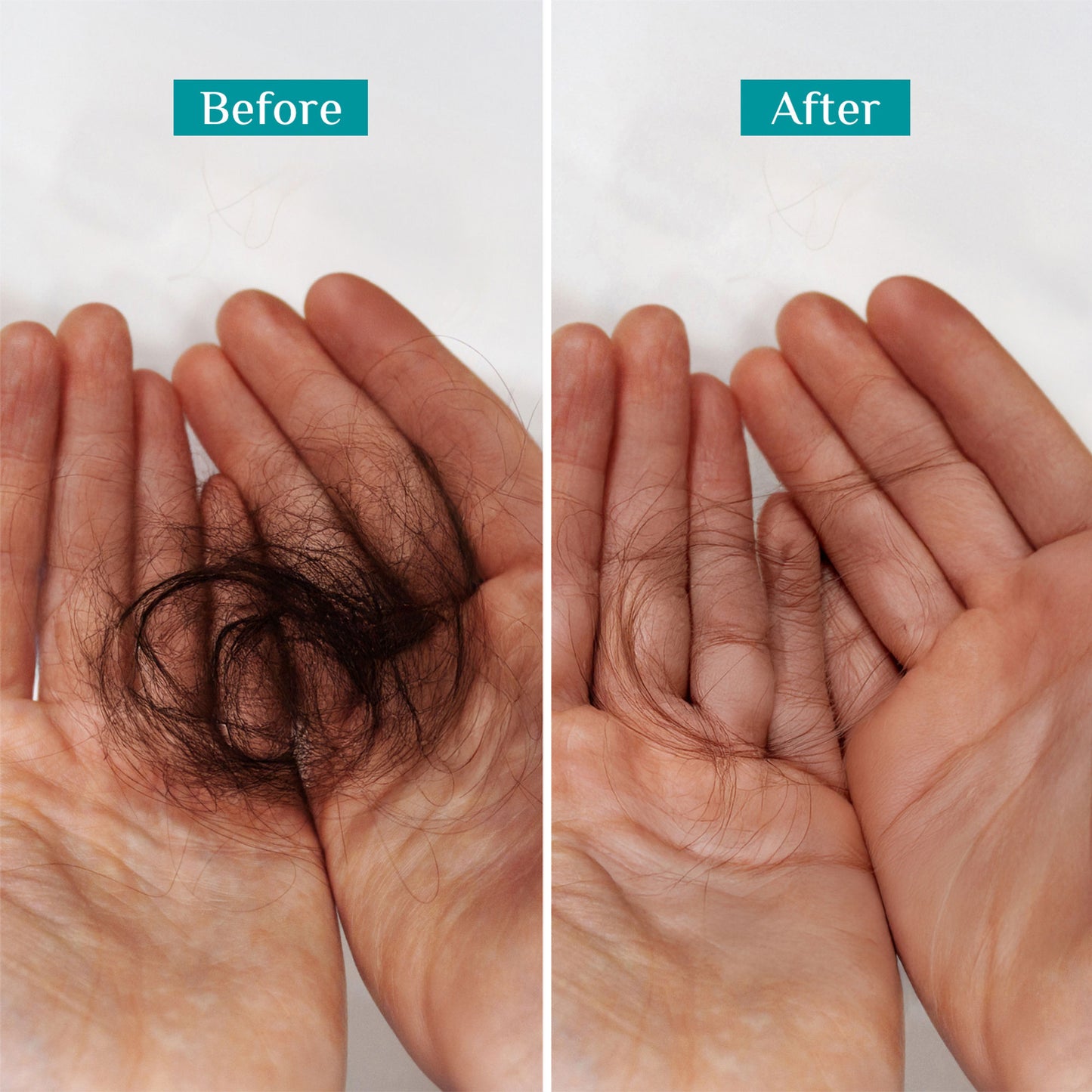 Pilgrim Spanish Rosemary & Biotin Anti Hairfall Control Shampoo Reduce Hairfall Upto 95% Strong Hair