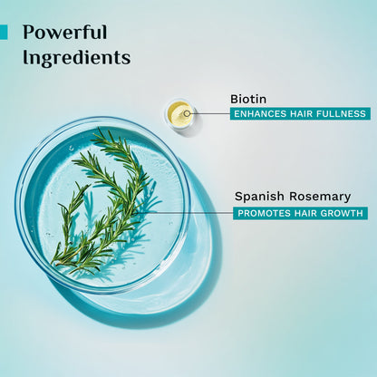 Pilgrim Spanish Rosemary & Biotin Anti Hairfall Control Shampoo Reduce Hairfall Upto 95% Strong Hair