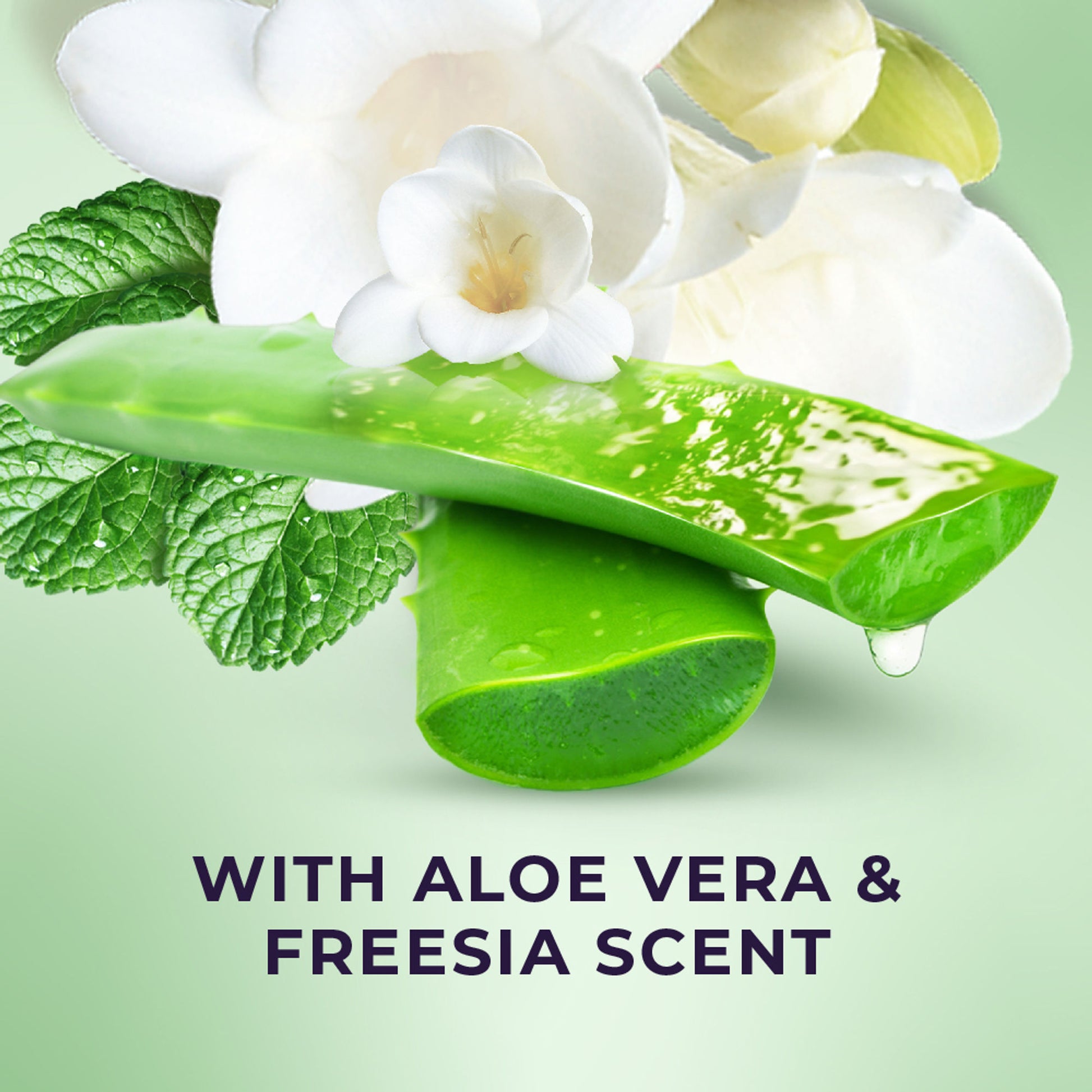 Lux Freesia Fresh Aloe Vera Bodywash Shower Gel
