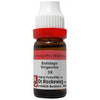 Dr. Reckeweg Solidago Virgaurea Dilution