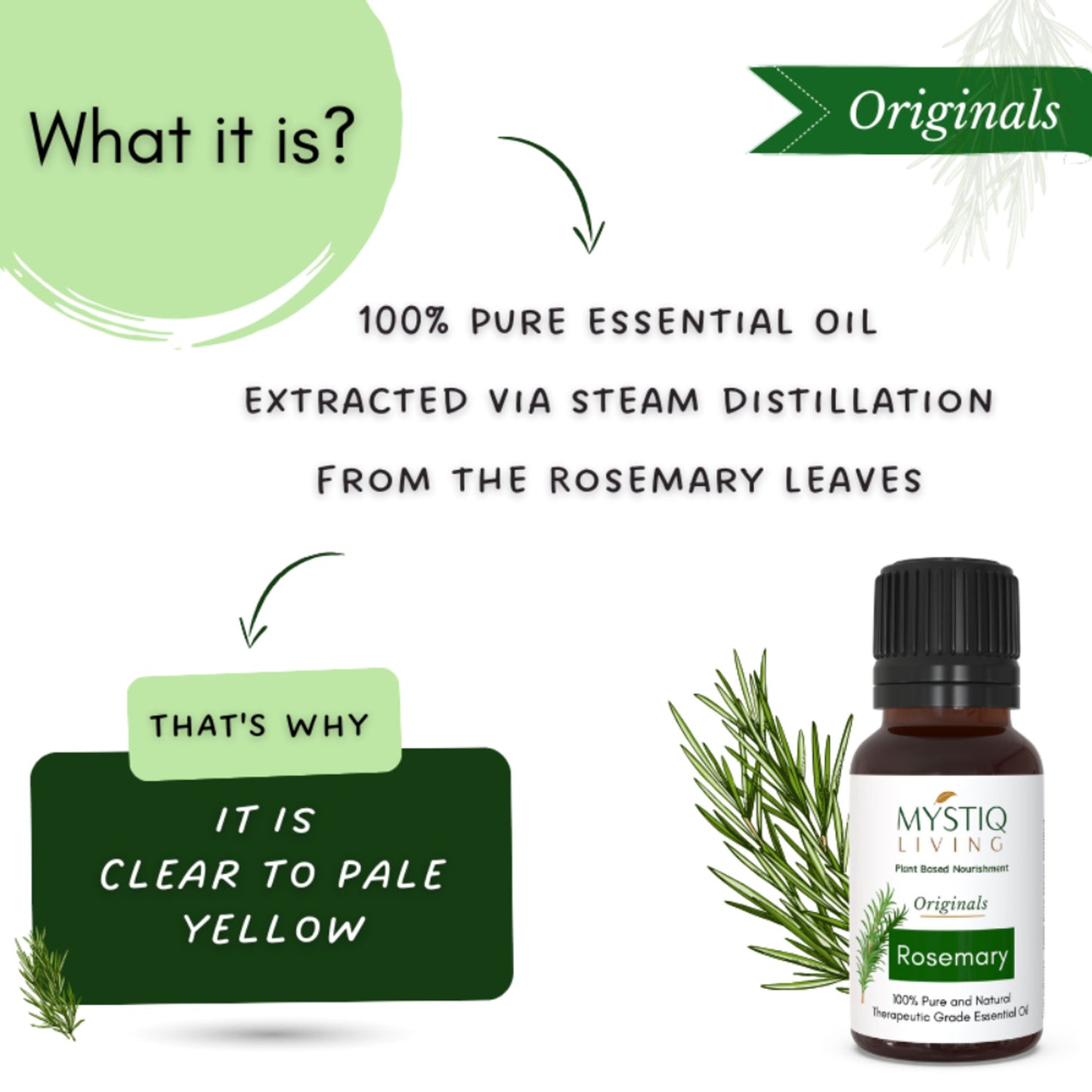 Mystiq Living Rosemary Water Hair Spray and Rosemary Essential Oil, Pure & Natural for Hair Growth