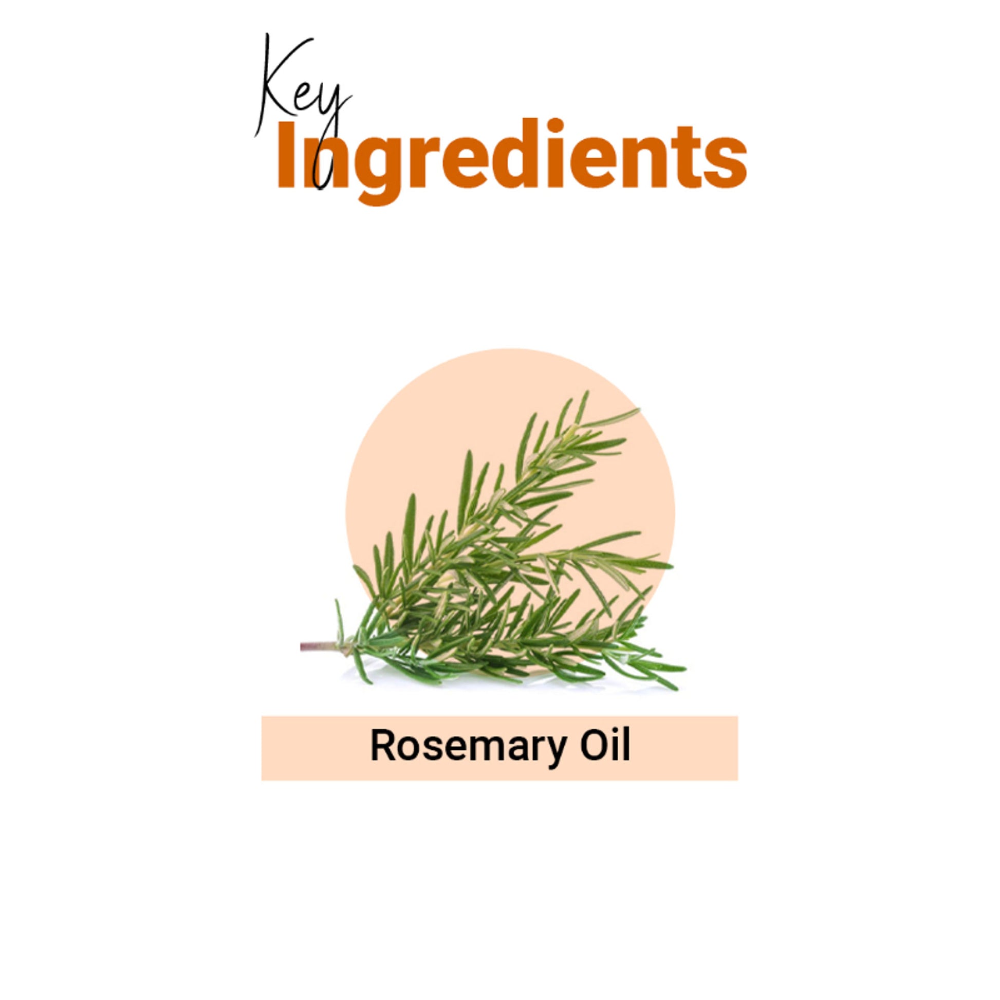Vedic Line Rosemary Hair Growth Water With Rosemary Oil