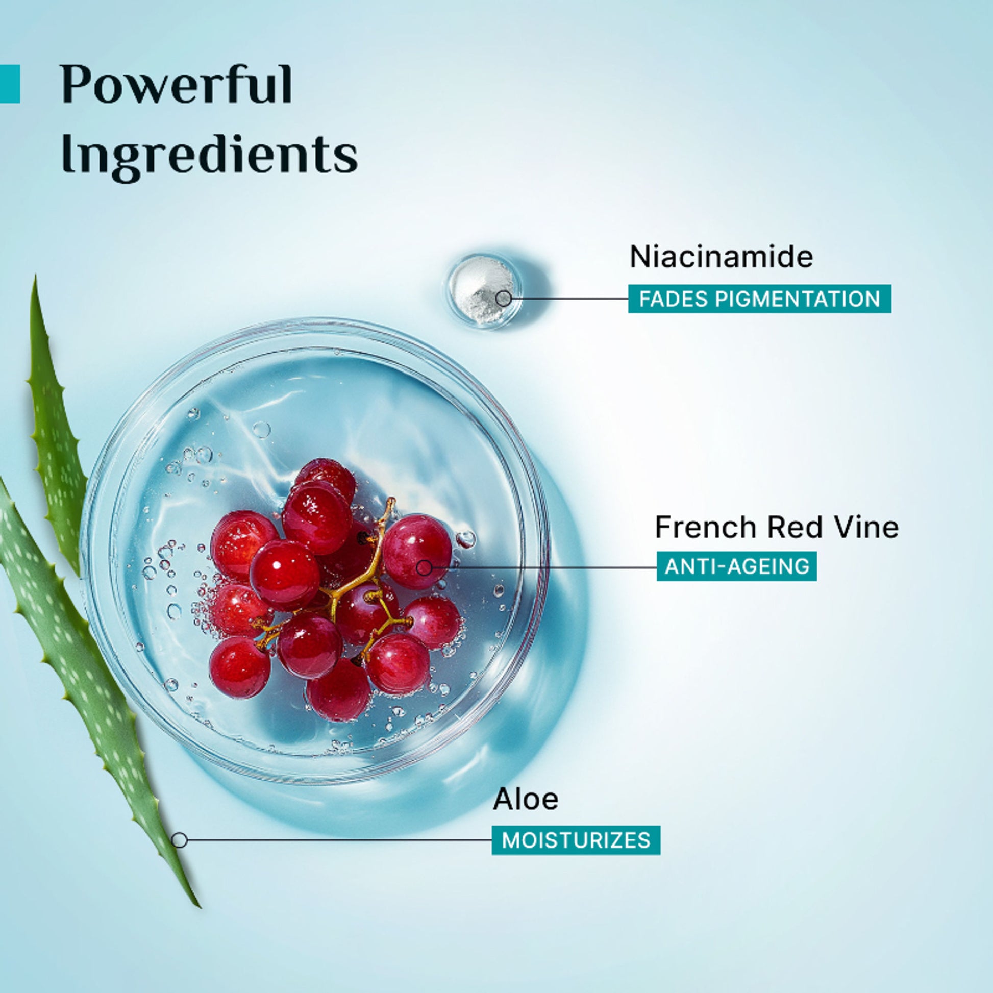 Pilgrim Red Vine Face Mist & Toner with Vitamin B3 & Aloe