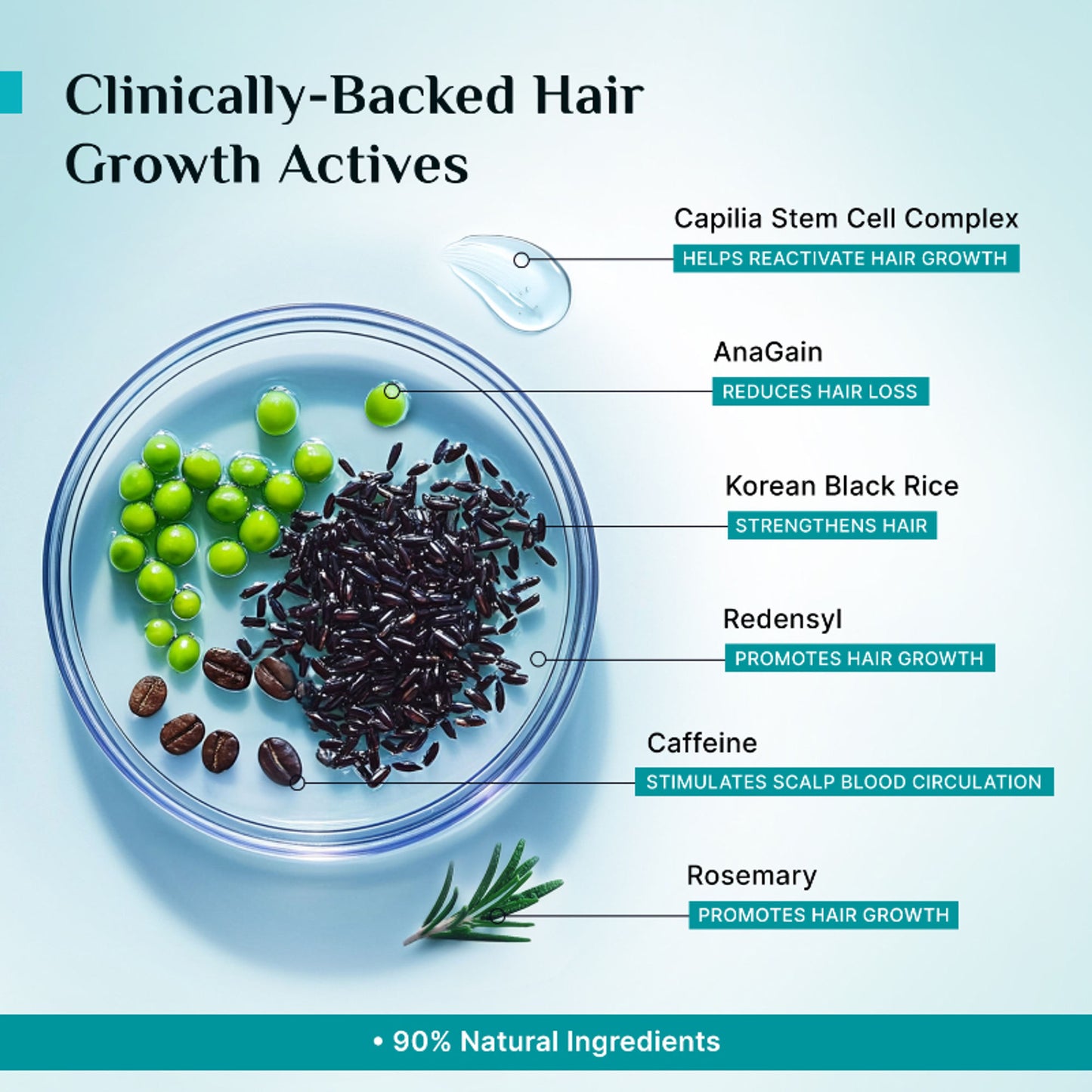Pilgrim 3% Redensyl 4% Anagain Rosemary Korean Black Rice Advance Hair Growth Serum For Men & Women