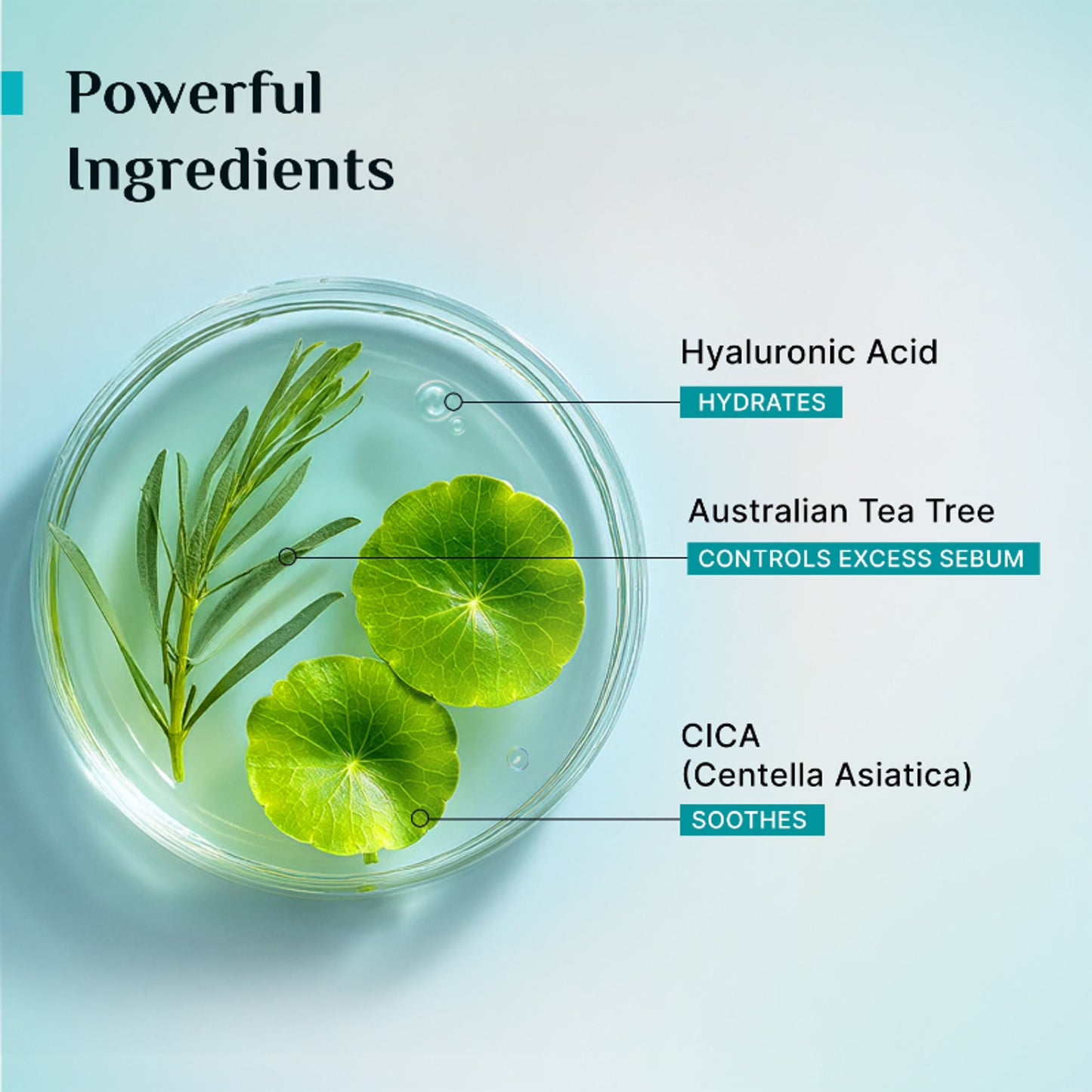 Pilgrim Tea Tree Light Non-Oily Moisturizer