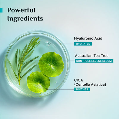 Pilgrim Tea Tree Light Non-Oily Moisturizer