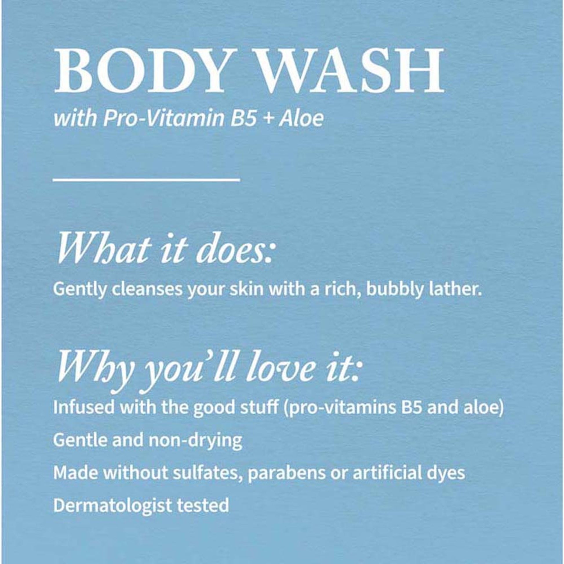 Bath & Body Works Into The Night Body Wash