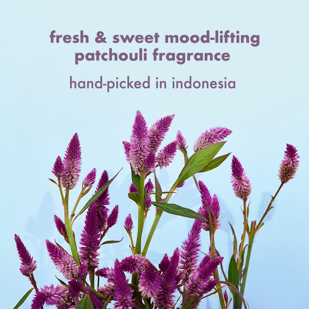 Love Beauty And Planet Onion Blackseed & Patchouli Hair Fall Control Sulfate Free Shampoo & Conditioner