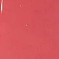 Rose Berry