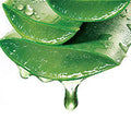 Aloe