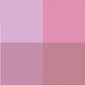 CP04 GrapeNBerry