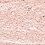15 Peach Swan Star