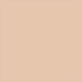 Tone Up Beige